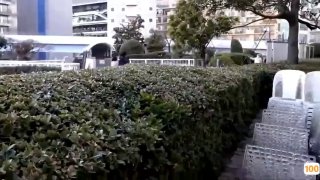 15分钟前发布“本一级黃色片”等内容的视频在线观看